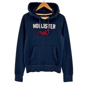 Hollister Y2K Hoodie Sweatshirt Sz M Embroidery Red Seagull Distressed Logo Surf